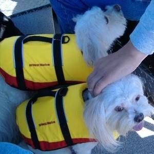 Meet your Posher, Mara